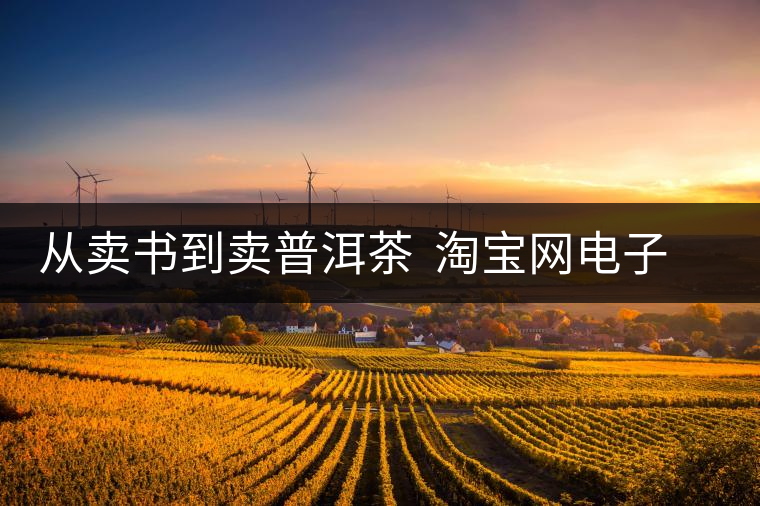 從賣書到賣普洱茶 淘寶網電子商務改變人生 從賣書到賣普洱茶 淘寶網電子商務改變人生