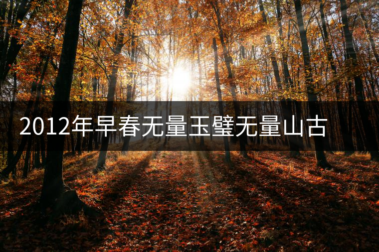 2012年早春無量玉璧無量山古樹純料普洱茶生茶餅