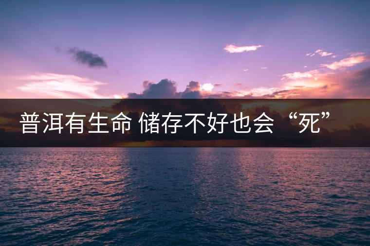 普洱有生命 儲存不好也會“死”去 普洱有生命 儲存不好也會“死”去