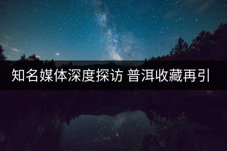 知名媒體深度探訪 普洱收藏再引關(guān)注 知名媒體深度探訪 普洱收藏再引關(guān)注