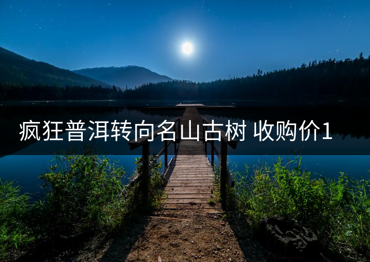 瘋狂普洱轉(zhuǎn)向名山古樹(shù) 收購(gòu)價(jià)1年漲兩三倍 瘋狂普洱轉(zhuǎn)向名山古樹(shù) 收購(gòu)價(jià)1年漲兩三倍