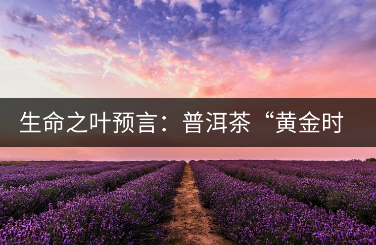 生命之葉預(yù)言:普洱茶“黃金時(shí)代”即將再度來(lái)臨 生命之葉預(yù)言:普洱茶“黃金時(shí)代”即將再度來(lái)臨