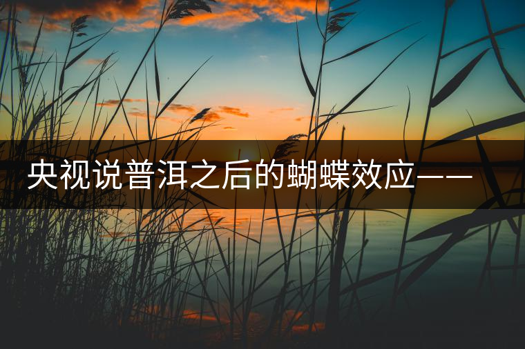 央視說普洱之后的蝴蝶效應(yīng)——過度開采會(huì)出現(xiàn)“死循環(huán)”？