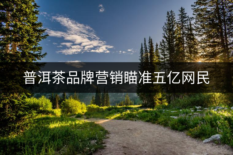 普洱茶品牌營(yíng)銷瞄準(zhǔn)五億網(wǎng)民 普洱茶品牌營(yíng)銷瞄準(zhǔn)五億網(wǎng)民