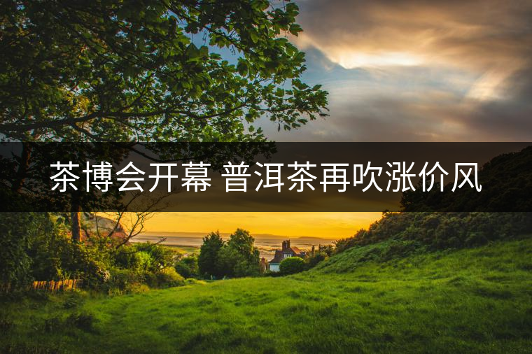 茶博會(huì)開幕 普洱茶再吹漲價(jià)風(fēng) 茶博會(huì)開幕 普洱茶再吹漲價(jià)風(fēng)