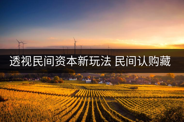 透視民間資本新玩法 民間認購藏茶獲利按比分成 透視民間資本新玩法 民間認購藏茶獲利按比分成