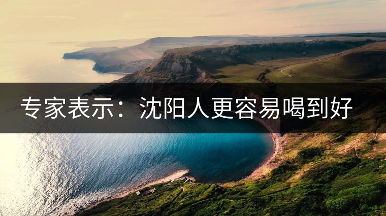 專家表示:沈陽人更容易喝到好的普洱茶 專家表示:沈陽人更容易喝到好的普洱茶