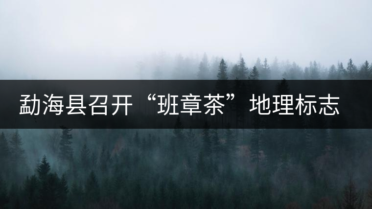 勐?？h召開“班章茶”地理標(biāo)志認(rèn)證評(píng)審會(huì)
