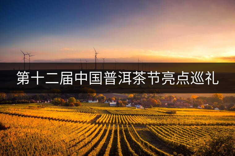 第十二屆中國普洱茶節(jié)亮點(diǎn)巡禮 第十二屆中國普洱茶節(jié)亮點(diǎn)巡禮