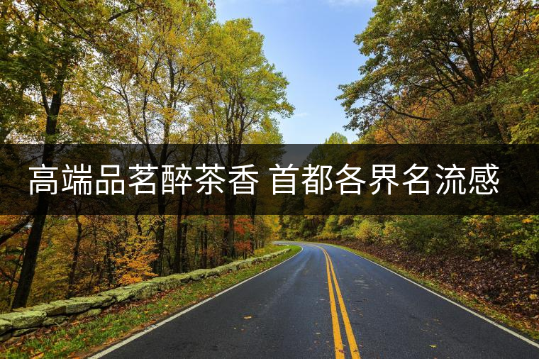 高端品茗醉茶香 首都各界名流感受普洱茶 高端品茗醉茶香 首都各界名流感受普洱茶