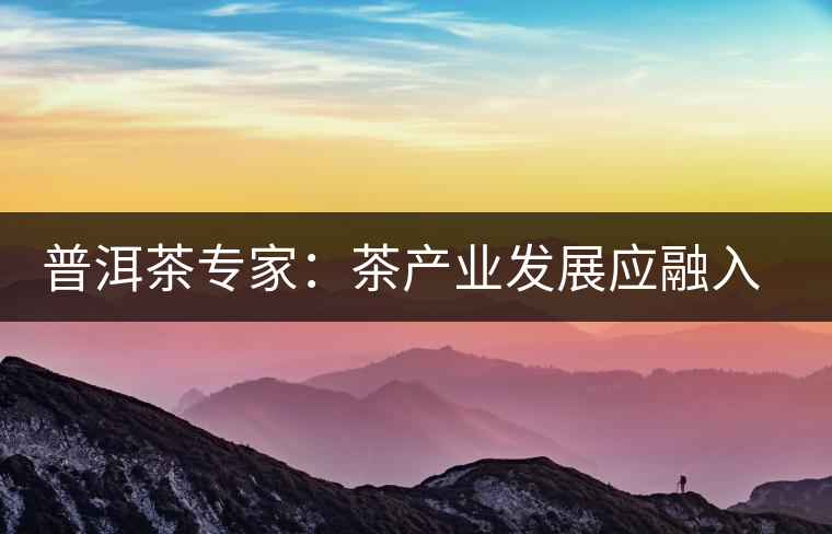 普洱茶專家:茶產(chǎn)業(yè)發(fā)展應(yīng)融入“大健康”理念 普洱茶專家:茶產(chǎn)業(yè)發(fā)展應(yīng)融入“大健康”理念