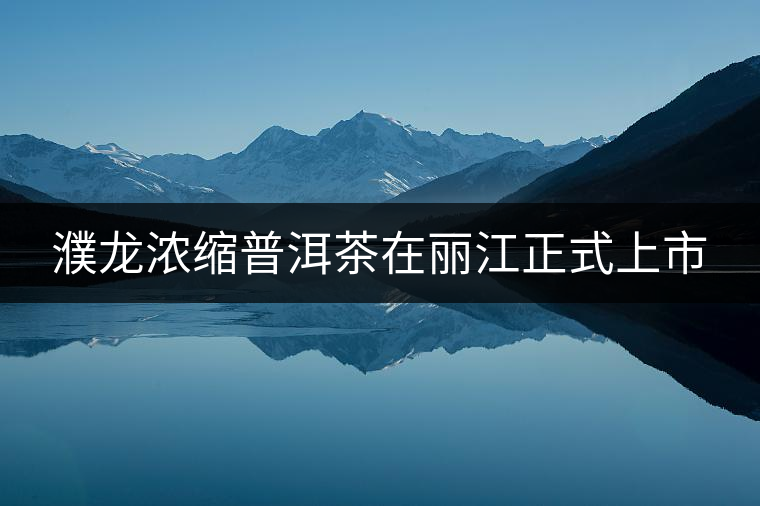 濮龍濃縮普洱茶在麗江正式上市 濮龍濃縮普洱茶在麗江正式上市