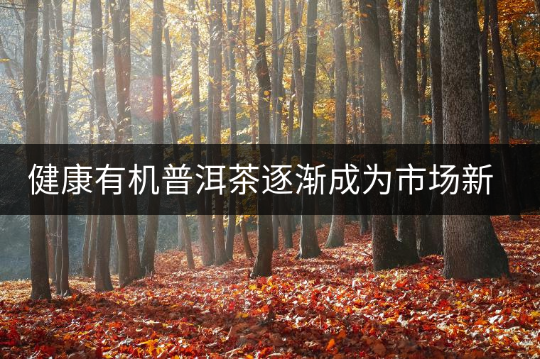 健康有機(jī)普洱茶逐漸成為市場新寵