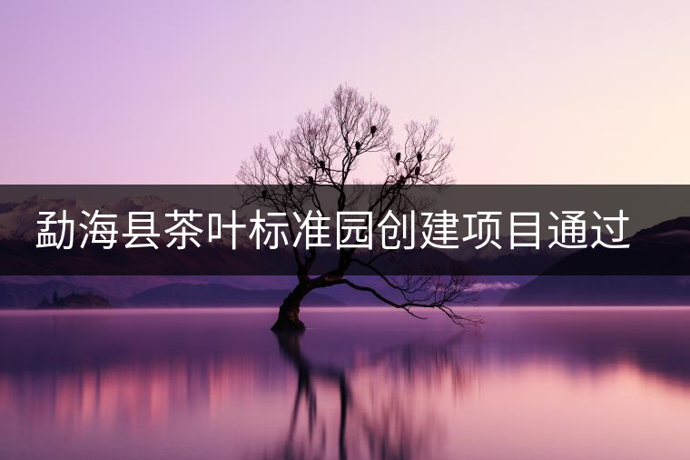 勐海縣茶葉標(biāo)準(zhǔn)園創(chuàng)建項(xiàng)目通過省級驗(yàn)收