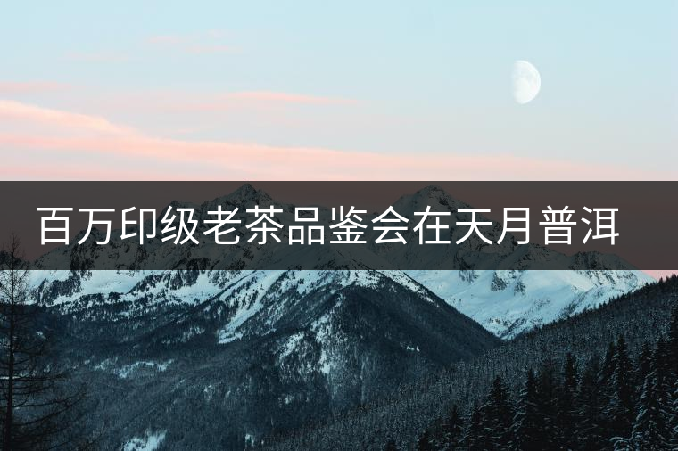百萬(wàn)印級(jí)老茶品鑒會(huì)在天月普洱館成功舉辦 百萬(wàn)印級(jí)老茶品鑒會(huì)在天月普洱館成功舉辦