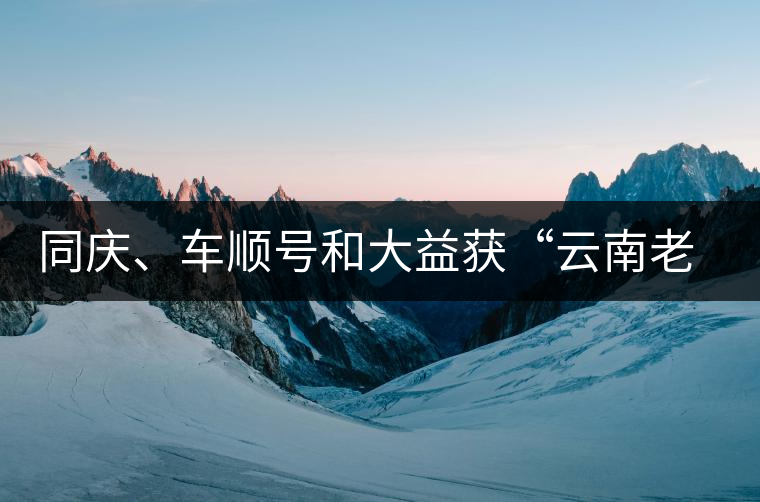 同慶、車順號和大益獲“云南老字號”稱號