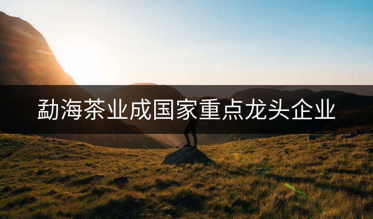 勐海茶業(yè)成國(guó)家重點(diǎn)龍頭企業(yè)
