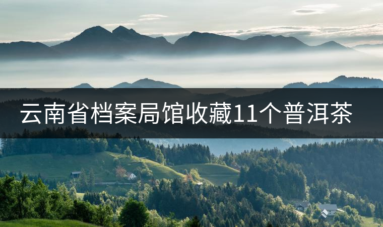 云南省檔案局館收藏11個(gè)普洱茶樣品 云南省檔案局館收藏11個(gè)普洱茶樣品