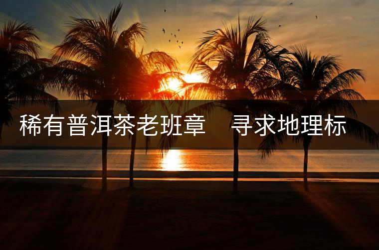 稀有普洱茶老班章 尋求地理標(biāo)志保護(hù) 稀有普洱茶老班章 尋求地理標(biāo)志保護(hù)