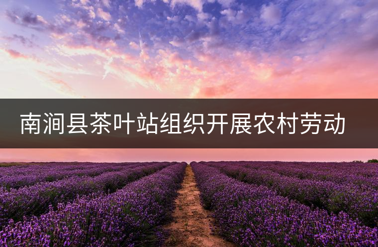 南澗縣茶葉站組織開展農村勞動力轉移培訓 南澗縣茶葉站組織開展農村勞動力轉移培訓