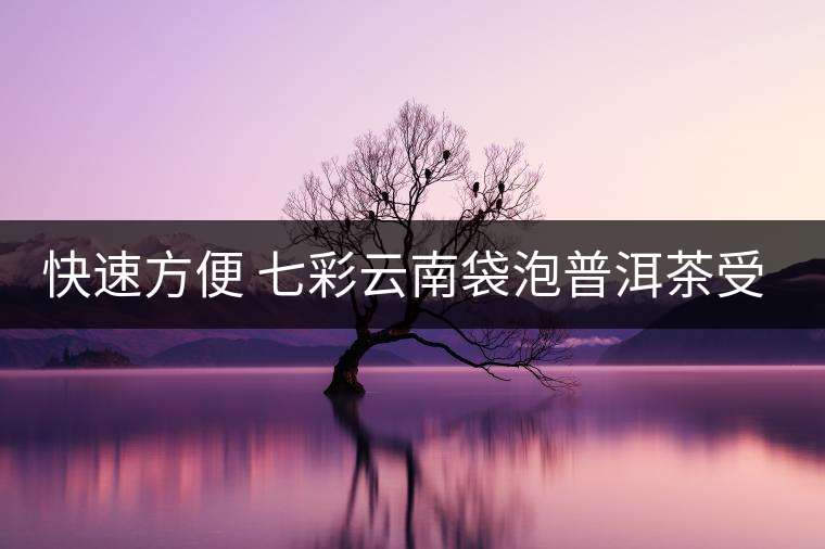 快速方便 七彩云南袋泡普洱茶受京城白領認可 快速方便 七彩云南袋泡普洱茶受京城白領認可