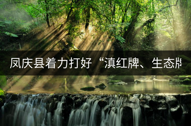鳳慶縣著力打好“滇紅牌、生態(tài)牌” 鳳慶縣著力打好“滇紅牌、生態(tài)牌”