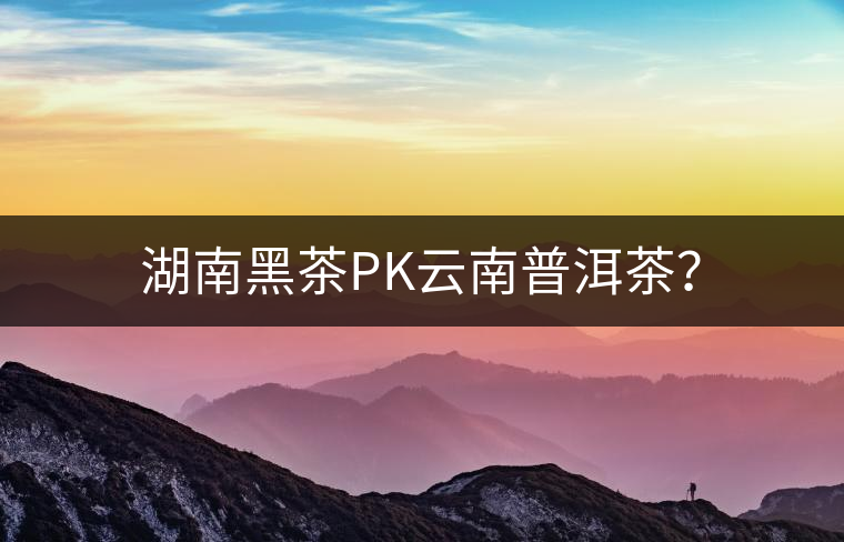 湖南黑茶PK云南普洱茶？