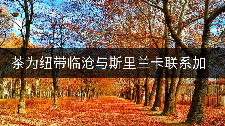 茶為紐帶臨滄與斯里蘭卡聯(lián)系加深