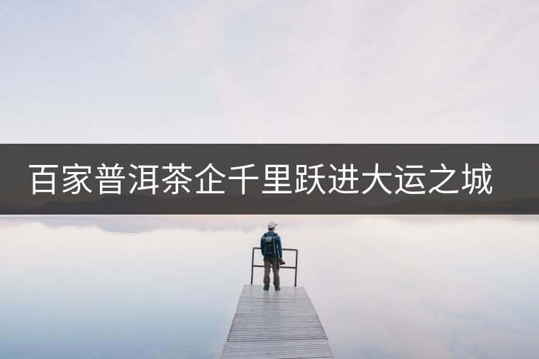 百家普洱茶企千里躍進大運之城深圳 百家普洱茶企千里躍進大運之城深圳