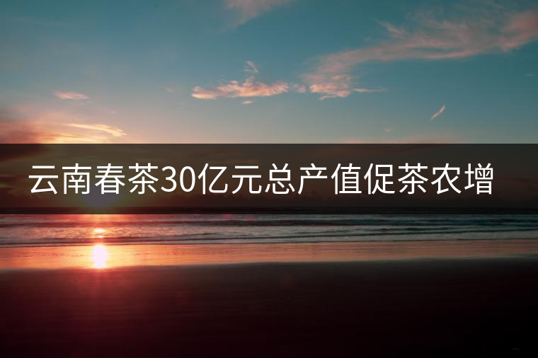 云南春茶30億元總產值促茶農增收 云南春茶30億元總產值促茶農增收