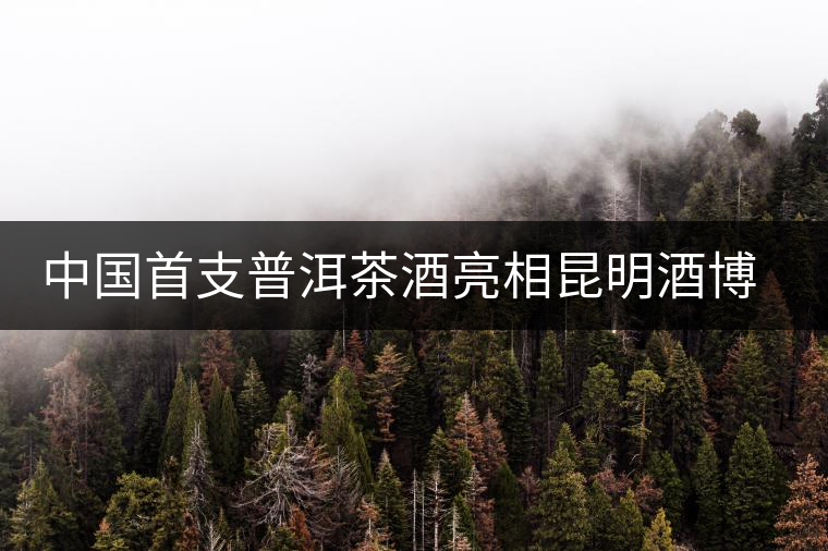 中國首支普洱茶酒亮相昆明酒博會(huì)