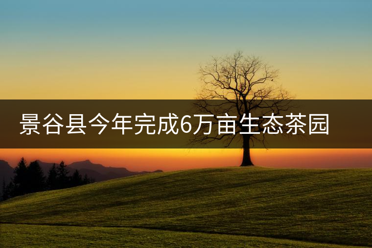 景谷縣今年完成6萬畝生態(tài)茶園建設(shè)