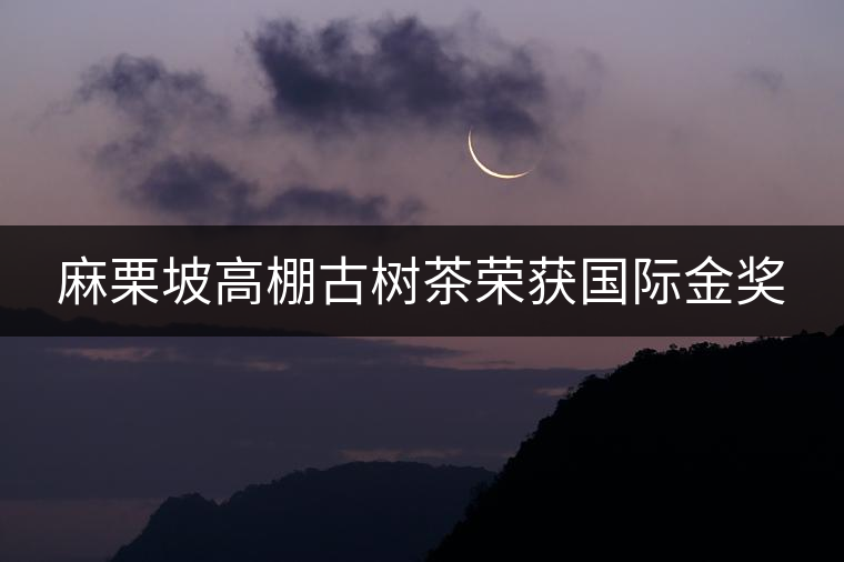 麻栗坡高棚古樹茶榮獲國際金獎(jiǎng) 麻栗坡高棚古樹茶榮獲國際金獎(jiǎng)