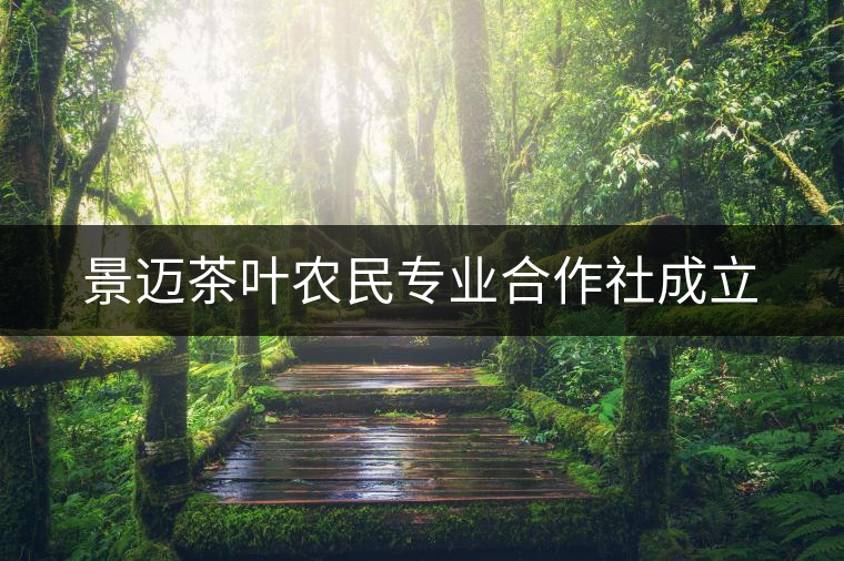 景邁茶葉農(nóng)民專業(yè)合作社成立 景邁茶葉農(nóng)民專業(yè)合作社成立