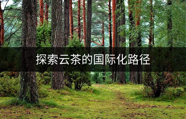 探索云茶的國際化路徑 探索云茶的國際化路徑