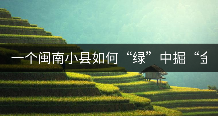 一個閩南小縣如何“綠”中掘“金” 一個閩南小縣如何“綠”中掘“金”