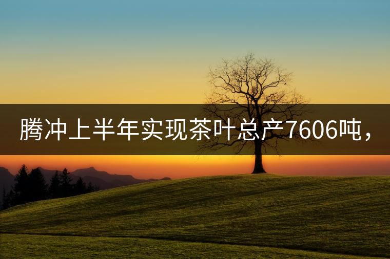 騰沖上半年實(shí)現(xiàn)茶葉總產(chǎn)7606噸，總產(chǎn)值5.58億元