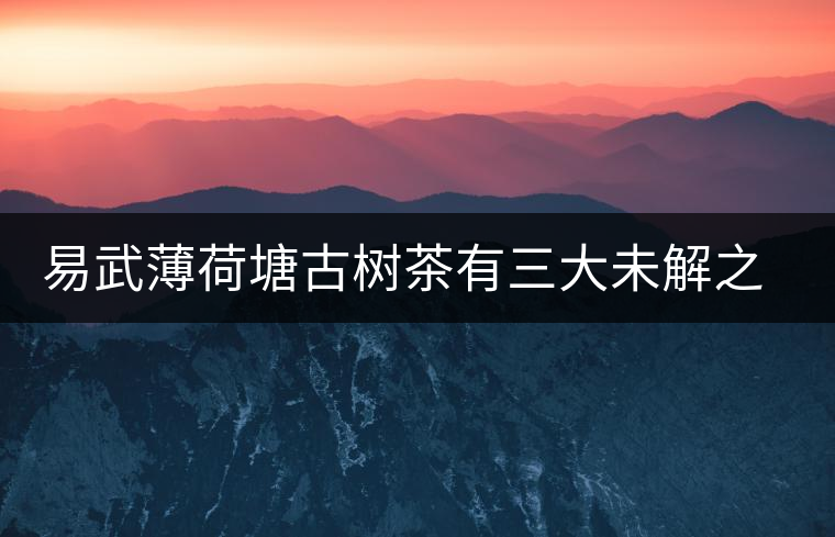 易武薄荷塘古樹(shù)茶有三大未解之謎