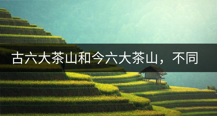 古六大茶山和今六大茶山，不同普洱茶品質(zhì)