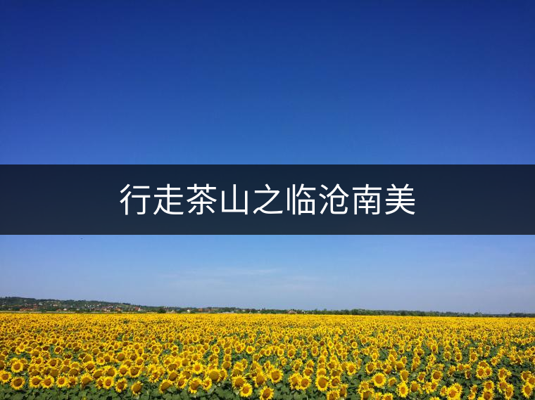 行走茶山之臨滄南美