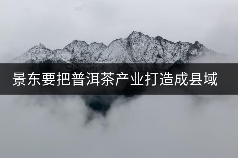 景東要把普洱茶產(chǎn)業(yè)打造成縣域經(jīng)濟(jì)的支柱產(chǎn)業(yè)