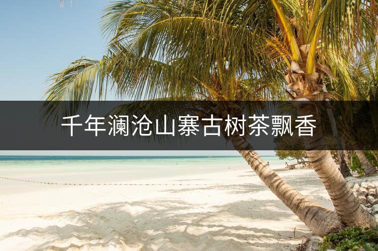 千年瀾滄山寨古樹(shù)茶飄香 千年瀾滄山寨古樹(shù)茶飄香