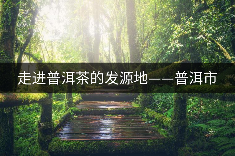 走進(jìn)普洱茶的發(fā)源地——普洱市 走進(jìn)普洱茶的發(fā)源地——普洱市