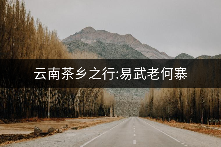 云南茶鄉(xiāng)之行:易武老何寨