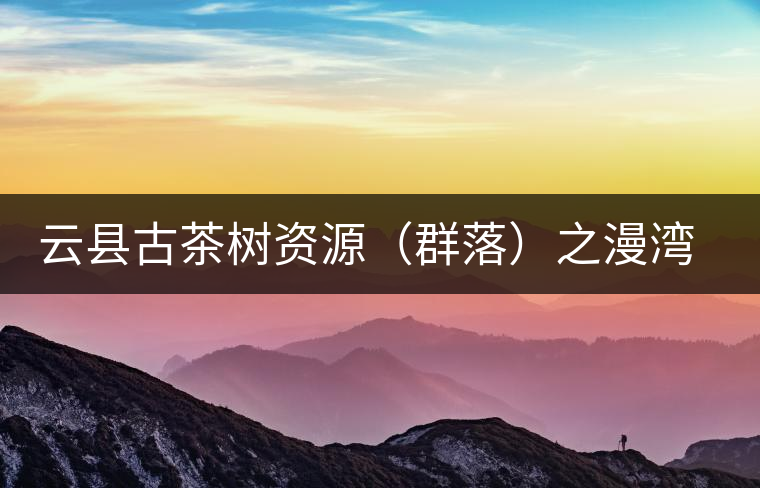 云縣古茶樹資源（群落）之漫灣鎮(zhèn)、茂蘭鎮(zhèn)大丙山