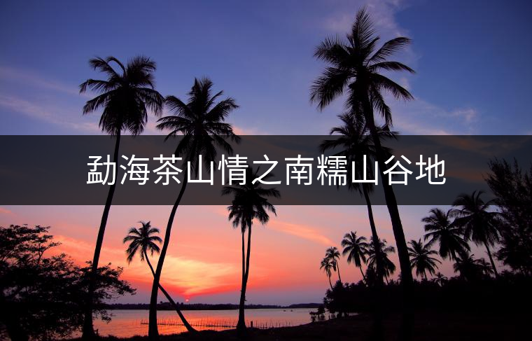 勐海茶山情之南糯山谷地 勐海茶山情之南糯山谷地