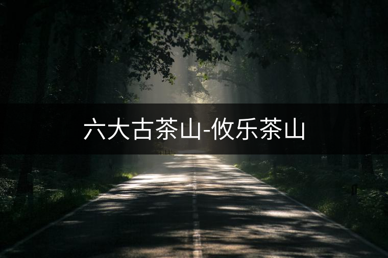 六大古茶山-攸樂茶山 六大古茶山-攸樂茶山