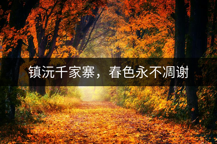 鎮(zhèn)沅千家寨，春色永不凋謝