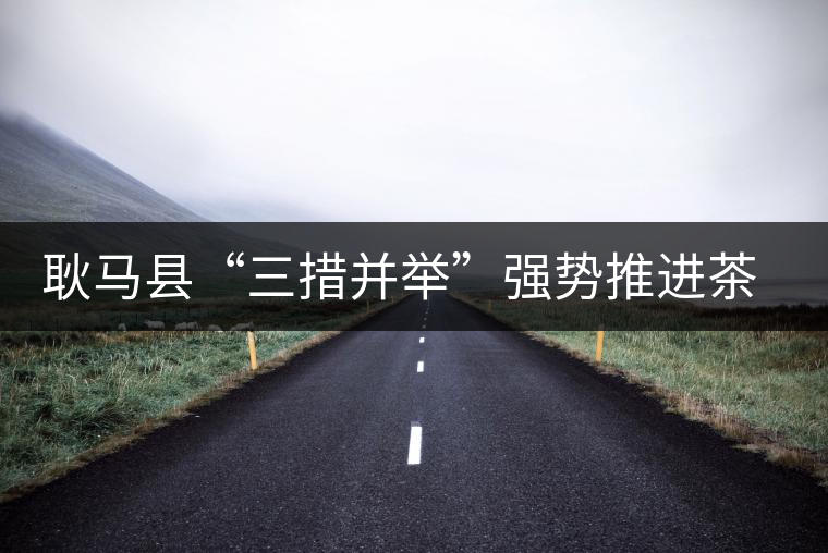 耿馬縣“三措并舉”強(qiáng)勢(shì)推進(jìn)茶葉產(chǎn)業(yè)的發(fā)展