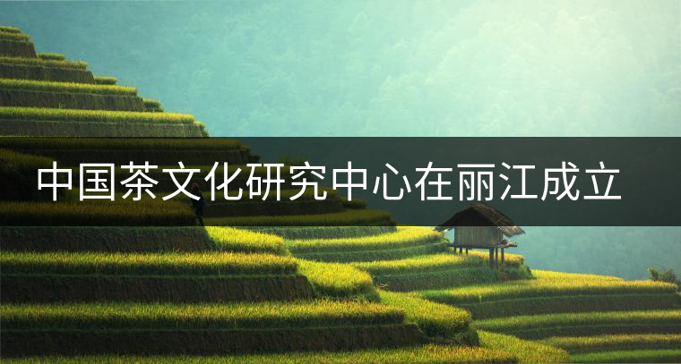 中國茶文化研究中心在麗江成立 力推茶馬古道申遺 中國茶文化研究中心在麗江成立 力推茶馬古道申遺